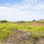 VENTA DE TERRENO DE 9315 M2 EN CARRETERA A PIMENTEL